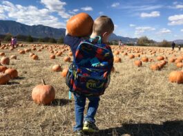 Favorite Fall Pumpkin Patches to Get You Pumped for the Season A boy carries a pumpkin on a field trip to Venetucci Farms Pumpkin Patch.