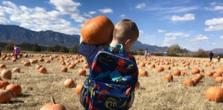A boy carries a pumpkin on a field trip to Venetucci Farms Pumpkin Patch.
