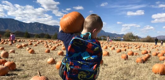Favorite Fall Pumpkin Patches to Get You Pumped for the Season A boy carries a pumpkin on a field trip to Venetucci Farms Pumpkin Patch.