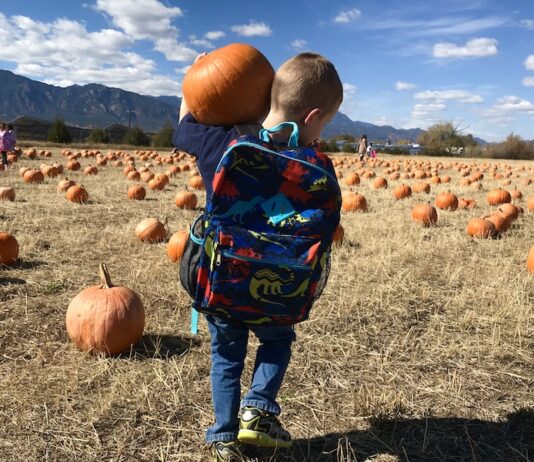 Favorite Fall Pumpkin Patches to Get You Pumped for the Season A boy carries a pumpkin on a field trip to Venetucci Farms Pumpkin Patch.