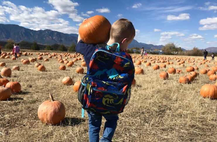 A boy carries a pumpkin on a field trip to Venetucci Farms Pumpkin Patch.
