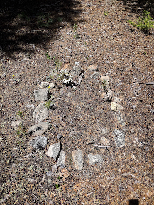 A ring of rocks marks an infant grave in Tincup Cemetery..