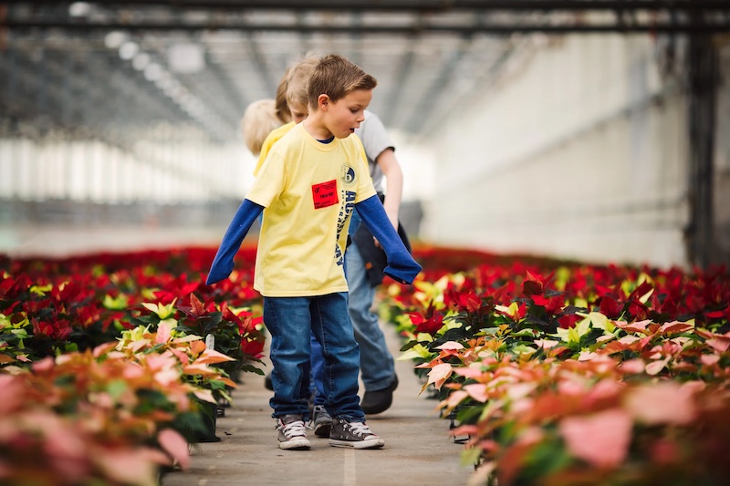 A line of kids admires the rows and rows of poinsettias at Dutch Heritage Gardens Christmas Open House. 