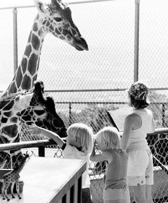 Kids in the '80s interact with giraffes at the Cheyenne Mountain Zoo.