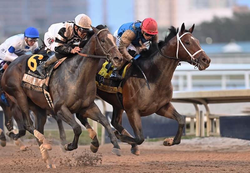 Commandment and Chief Wallabee race in the Fountain of Youth at Gulfstream Park leading up to the Kentucky Derby.