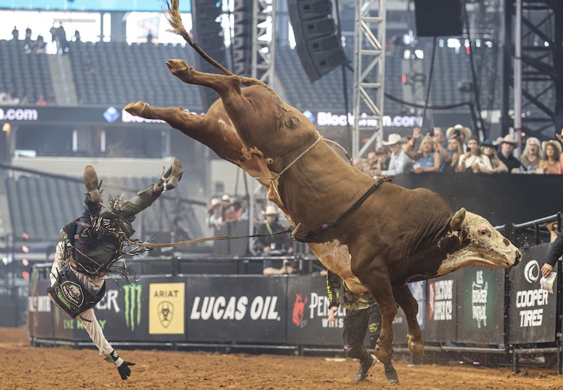 A rider on the Professional Bull Riders PBR tour flies into the air as a giant bull bucks into the air