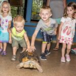 Cheyenne Mountain Zoo Launches New Nature-Based Preschool