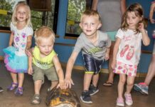 Cheyenne Mountain Zoo Launches New Nature-Based Preschool Kids pet a tortoise at the Cheyenne Mountain Zoo.