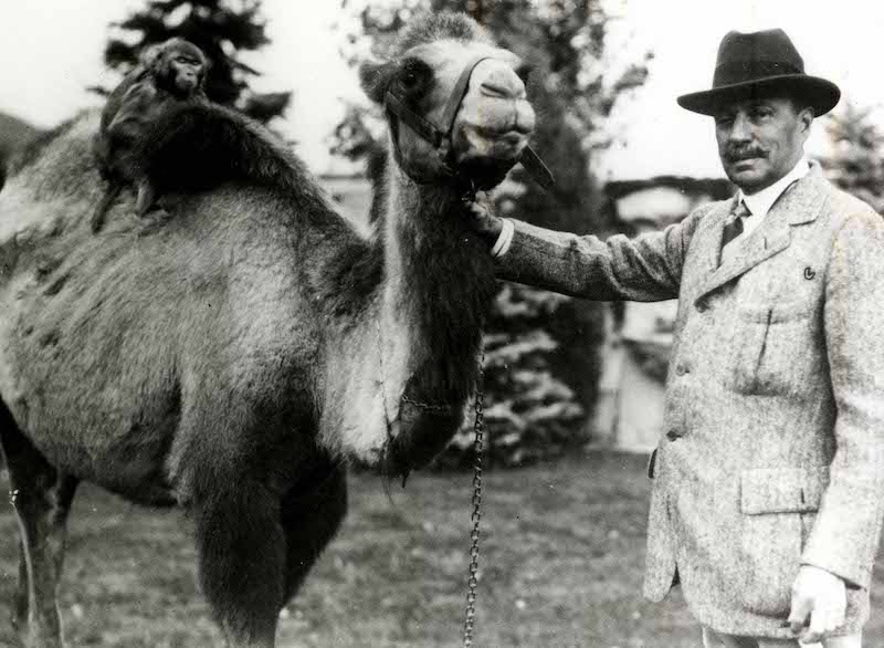 The Broadmoor and Cheyenne Mountain Zoo founder Spencer Penrose with a camel and monkey in the 1920s.