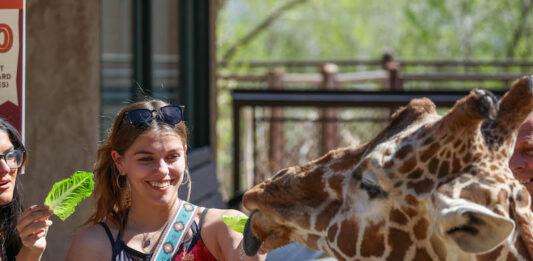 Cheyenne Mountain Zoo Celebrates 100 Years Two women feed giraffes at Cheyenne Mountain Zoo.
