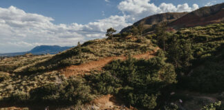 A mountain biker on the new Blodgett bike hill in Blodgett Open Space.